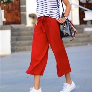 Zara Wide Leg Cropped Pants